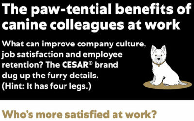 The Paw-tential Benefits of Canine Colleagues at Work